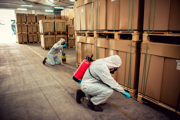 Best Best Pest Control Near Me  in Oakton, VA