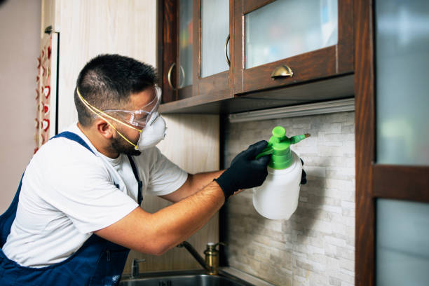 Best Bed Bug Extermination  in Oakton, VA