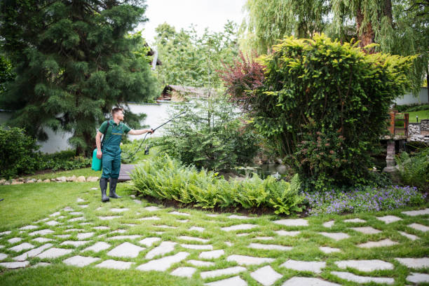Best Exterminator Services  in Oakton, VA