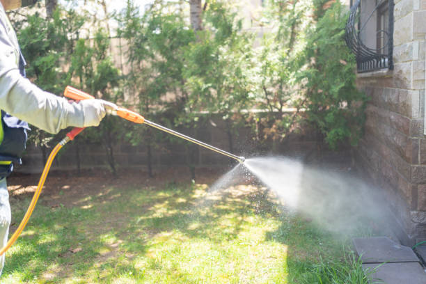Best Spider Control Near Me  in Oakton, VA
