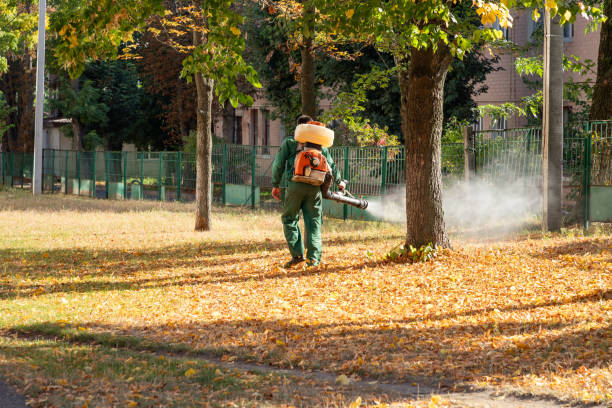 Best Affordable Pest Control Services  in Oakton, VA