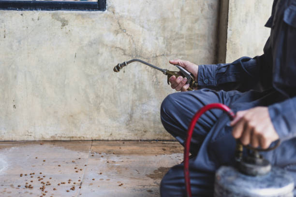 Best Affordable Pest Control Services  in Oakton, VA